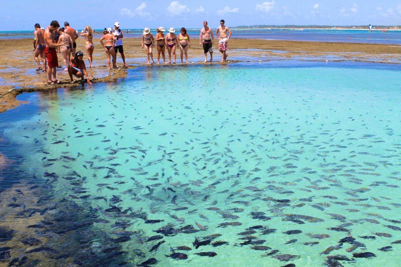 piscinas naturais de porto de galinhas
